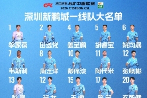 深圳新鹏城2026赛季一线队大名单