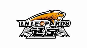 媒体人：布罗金顿哈维加盟 辽宁最后1个外援调整名额不会冒然使用