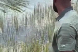 好兆头？詹姆斯和布朗尼此前打高尔夫碰到鳄鱼！