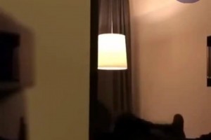 世界顶级“仙人跳”现场：当年内马尔酒店挨揍，差点被一波带走